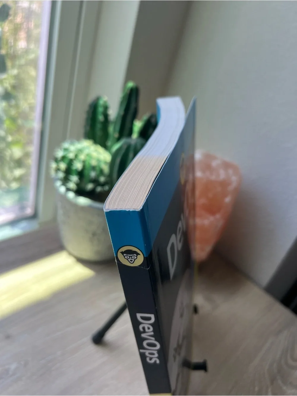 DevOps For Dummies Emily Freeman Paperback 2019 Tech IT Programming Book